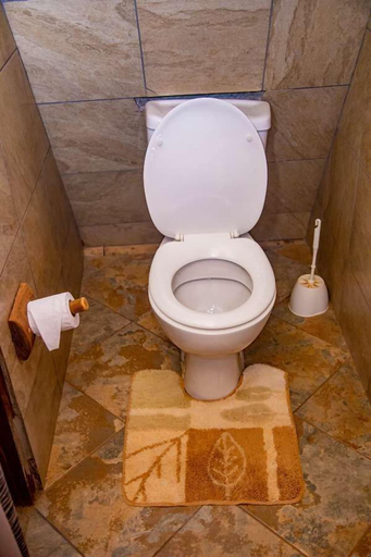 Bathroom, Boma Simba Lodge, Voi