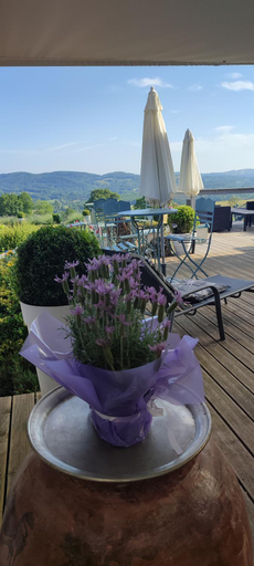 Others 4, Domaine Le Lanis Chambre d'hotes avec spa sur reservation, Ariège