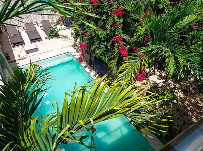 Others 4, Casa Daniels Guesthouse, Valladolid