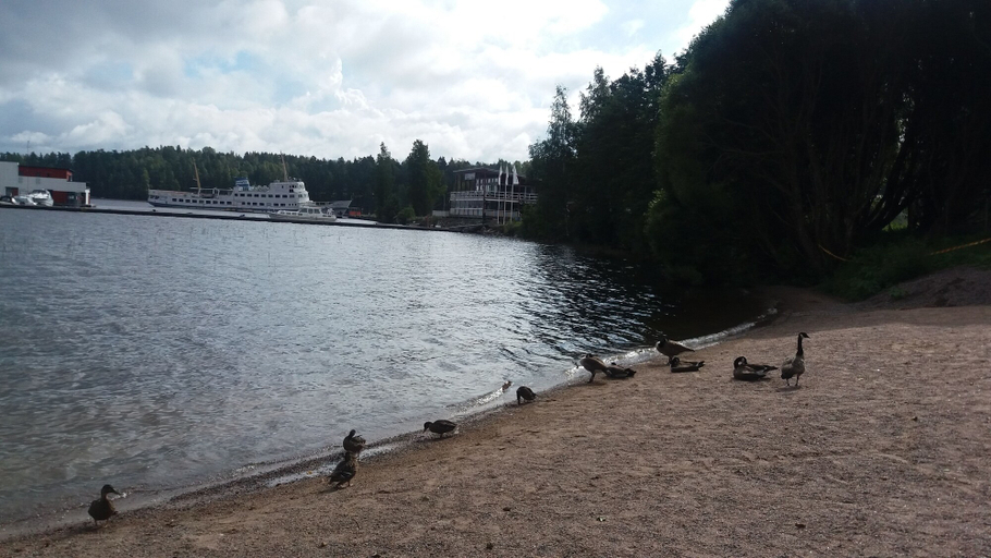 Others 5, Kiurun Villas, South Karelia