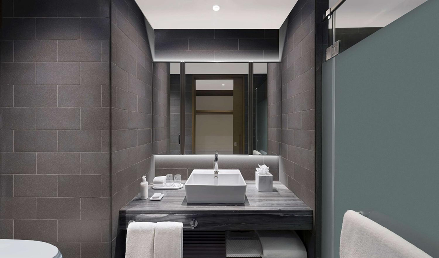 Bathroom 3, Hilton Garden Inn Bengaluru Embassy Manyata Business Park, Bangalore