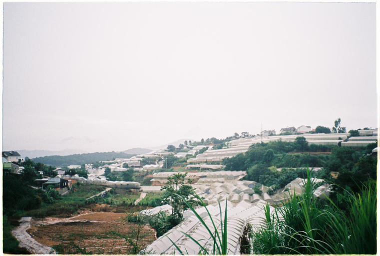 Others 4, Thung Lung Mo - Dream Valley, Đà Lạt