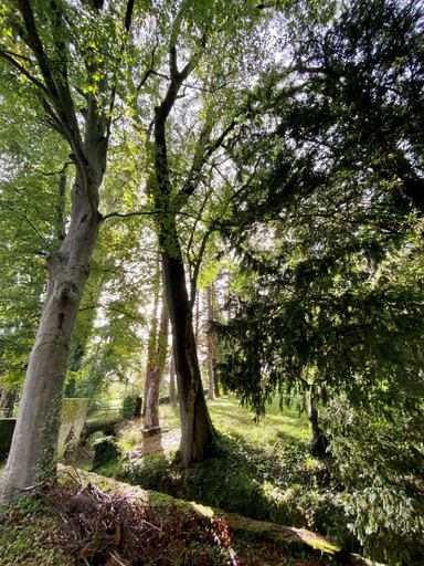 Others 4, Le Domaine de Moroges, Saône-et-Loire