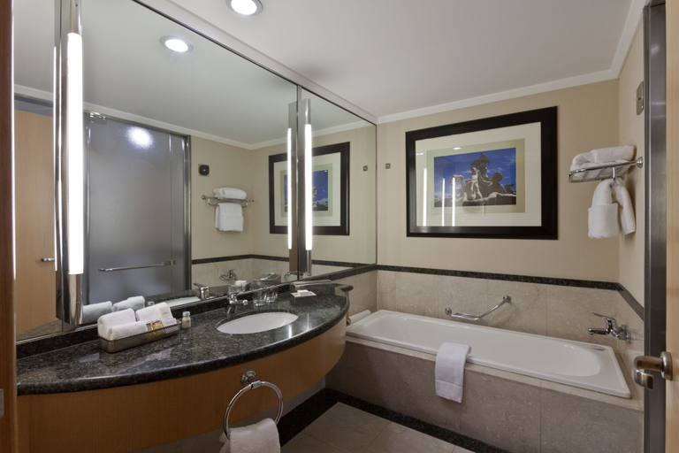 Bathroom 5, Hilton Buenos Aires, Distrito Federal