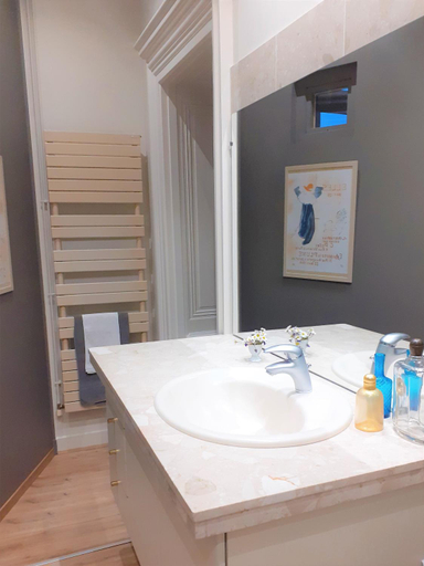 Bathroom 3, Domaine du Perrier, Loire