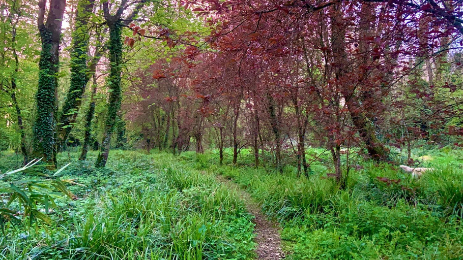 Others 5, Lacken Millhouse and Gardens