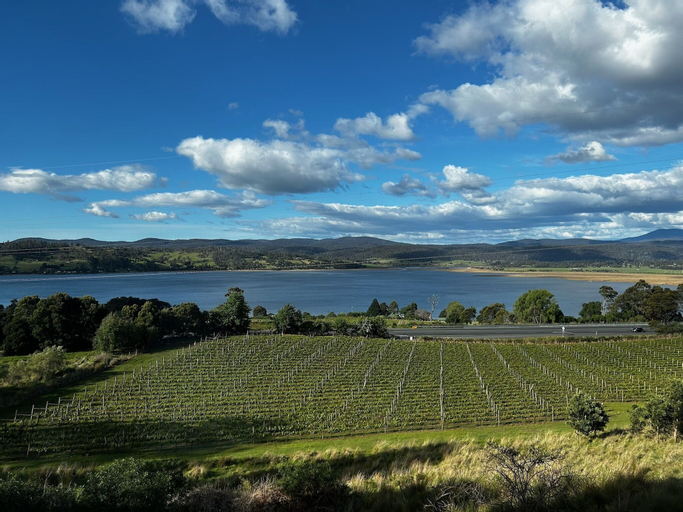 Armalong Winery Chalets, West Tamar - Pt A