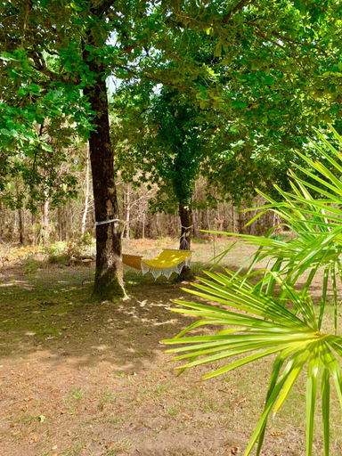 Others 5, Hacienda de la Canopee avec piscine chauffee au sel, Gironde