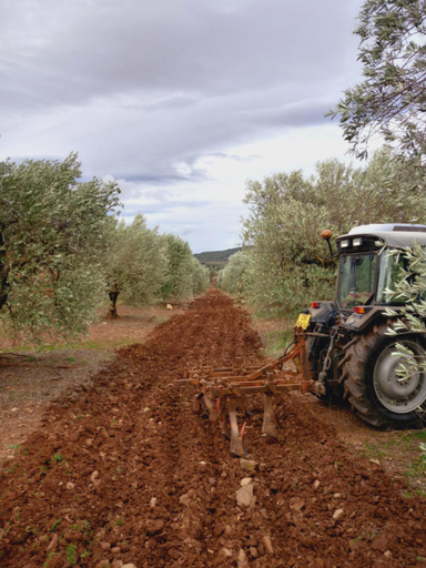 Others 4, Escale au Salagou, Hérault
