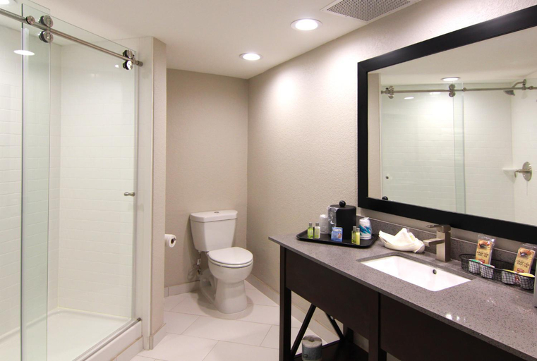 Bathroom 4, The Hotel Hot Springs, Garland
