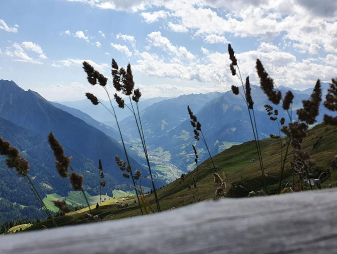 Others 4, Almgasthaus Flecknerhutte, Bolzano