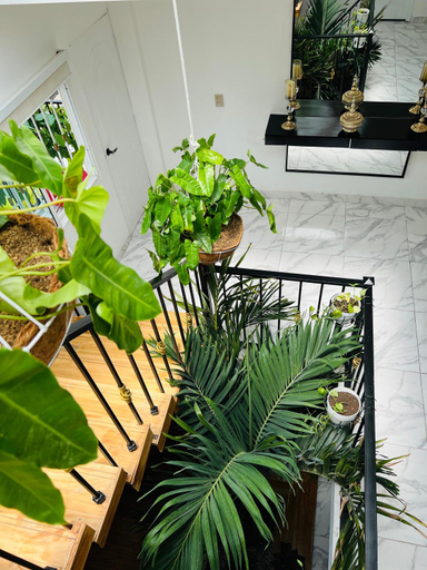 Others 5, Le MARIE B&B, Cartagena de Indias