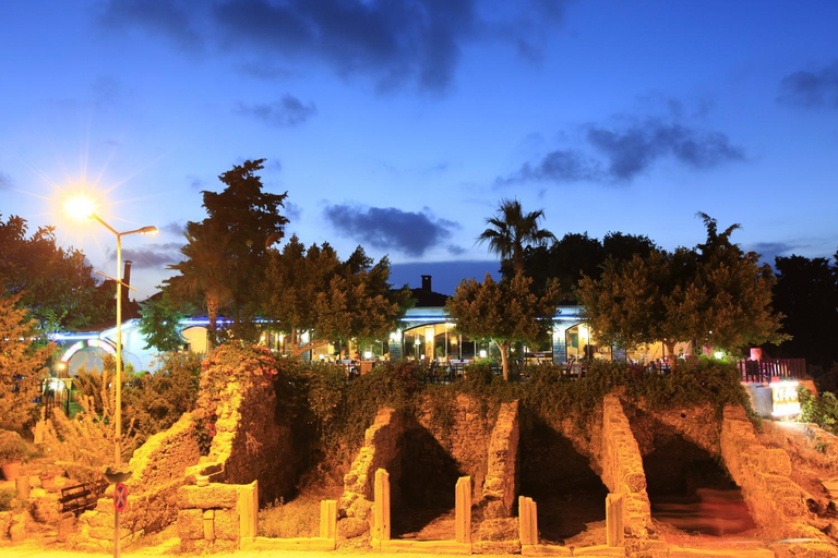Food & Drinks 4, Leda Beach Hotel, Manavgat