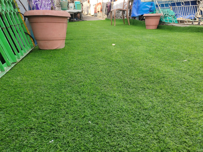 Food & Drinks, Houseboat Switzerland, Srinagar
