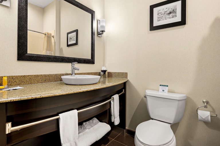 Bathroom 4, Sonesta Essential Indianapolis Airport, Hendricks