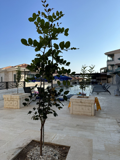Exterior 2, Villa Umay, Kale
