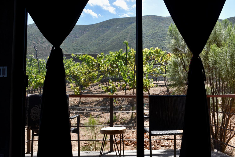 Others 3, UvaUva eco-retreat, Ensenada