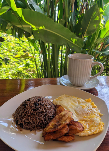 Food & Drinks, Sunrise, Osa