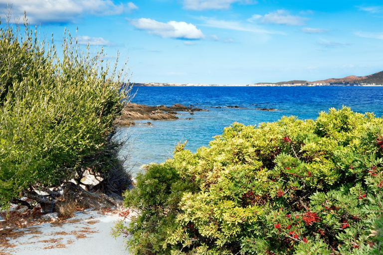 Others 2, Hotel Baia Aranzos, Olbia-Tempio