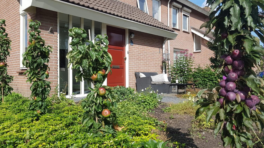 Others 2, Logeren bij Grea, Zwartewaterland