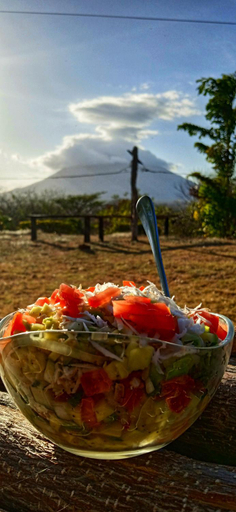 Food & Drinks 5, Hostel Santa Cruz Ometepe, Lago de Nicaragua