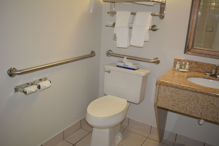 Bathroom 4, Quality Inn & Suites Syracuse - Carrier Circle, Onondaga