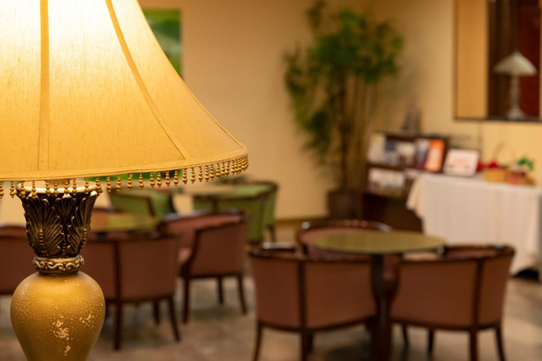 Public Area 2, Hotel Symphony Sagae Onsen, Sagae