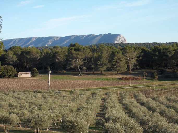 Others 4, Domaine de L'Olibaou, Bouches-du-Rhône