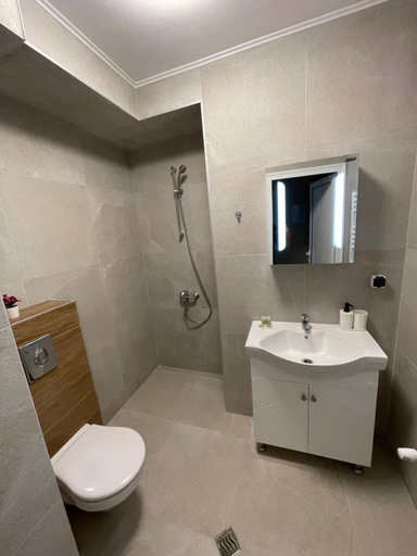 Bathroom 2, Movie flats, Stolichna