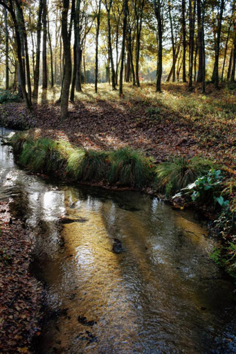 Others 5, Chambres d'hotes a Pontonx, Landes