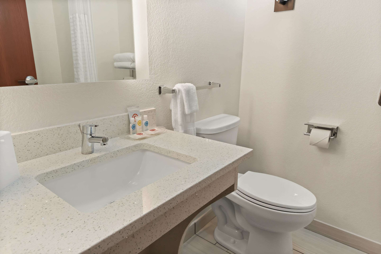 Bathroom 4, Comfort Suites Granbury, Hood