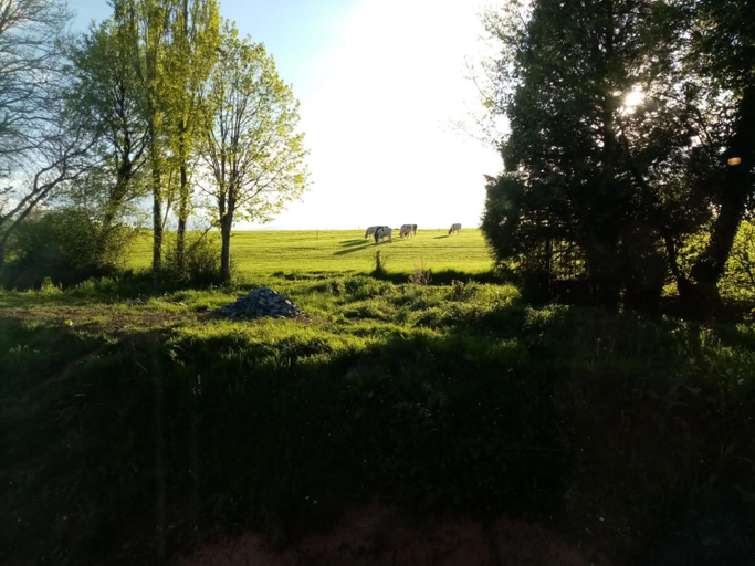 Others 4, Feel at home in Warre, Durbuy, Luxembourg