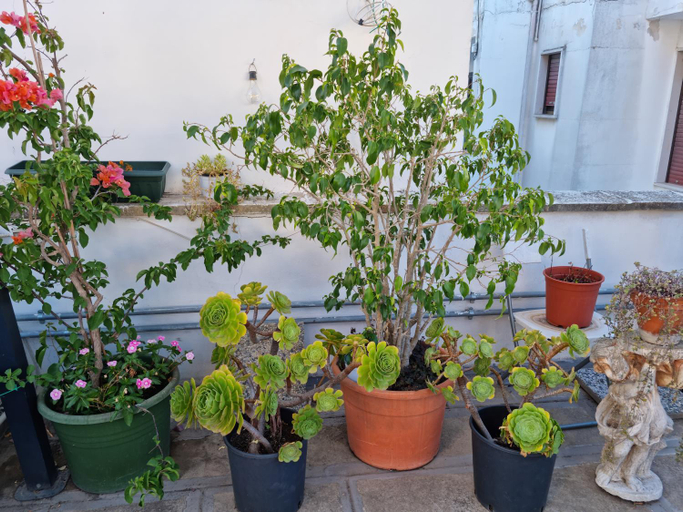 Others 2, Green Palace, Brindisi