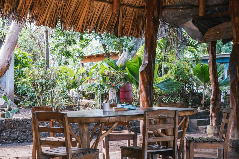 Food & Drinks 4, Hostel Santa Cruz Ometepe, Lago de Nicaragua