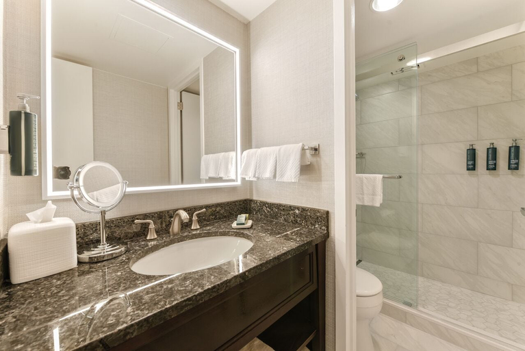 Bathroom 4, Capital Hilton, Washington D.C.