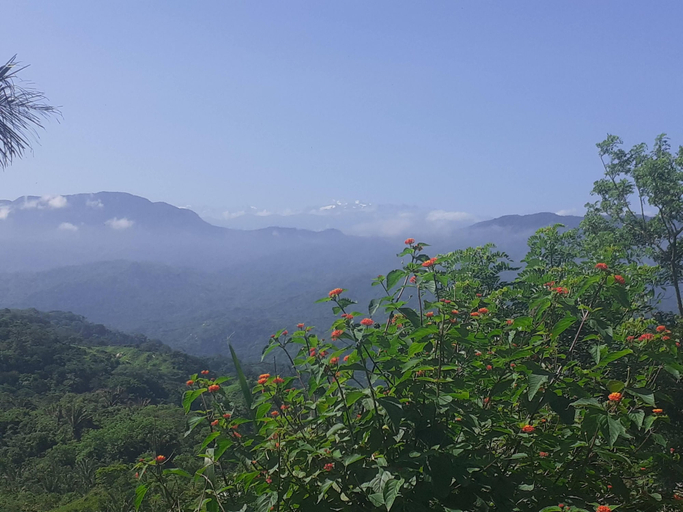 Others 5, La Cima Tayrona, Santa Marta (Dist. Esp.)