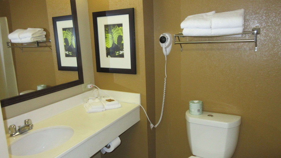 Bathroom 4, MainStay Suites Rochester South Mayo Clinic, Olmsted