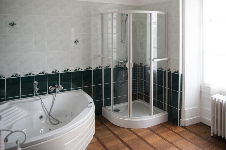 Bathroom 2, Chateau de Piolant, Vienne