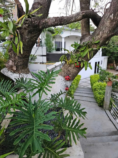 Others 5, Casa Margarita, José Santos Guardiola