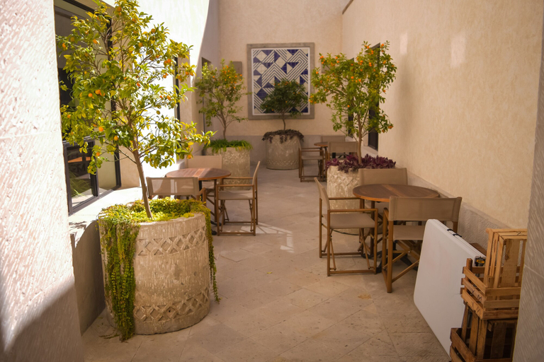 Food & Drinks 5, Casa Itzae La Luminaria Dog Friendly, Allende