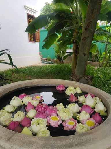 View 5, Bloom Garden Bed & Breakfast, Siem Reab