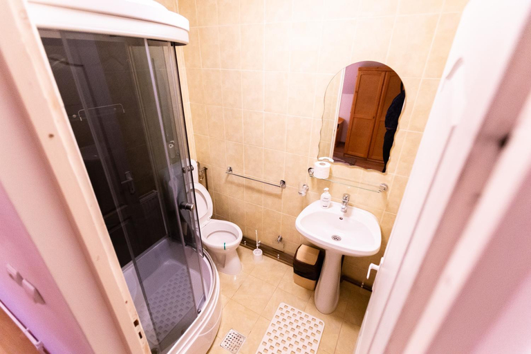 Bathroom, Pensiunea Ionela, Moieciu De Jos