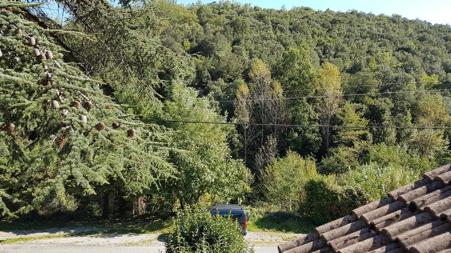 Others 2, Le Clos du Cedre, Gard