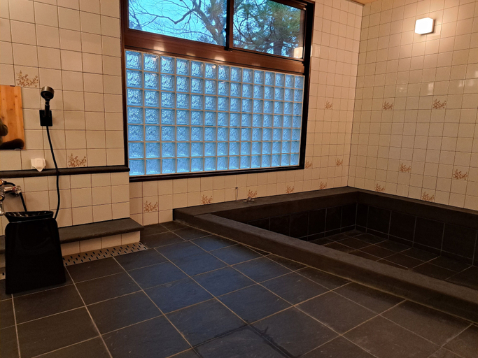 Bathroom 3, Daisen Basecamp, Daisen