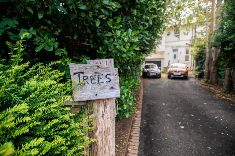 Others 5, Trees Annex, East Sussex