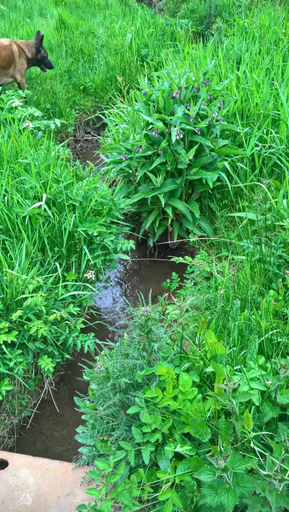 Others 5, Gites Nature & Espace - Le puits des souhaits, Manche