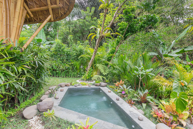 Sport & Beauty 4, Arcada Bali Bamboo House, Karangasem