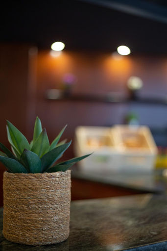 Food & Drinks 5, Hotel Bracamonte, Salamanca