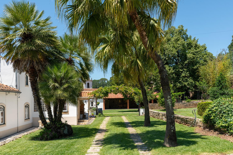 Others 4, Quinta do Calvario, Coimbra