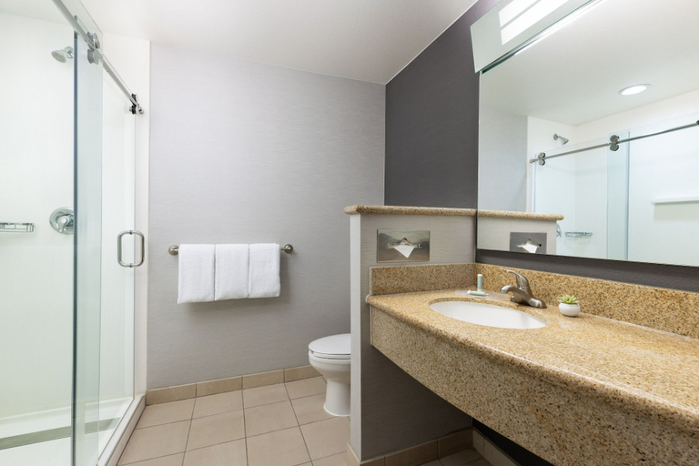 Bathroom 4, Courtyard By Marriott Las Vegas Stadium Area, Clark